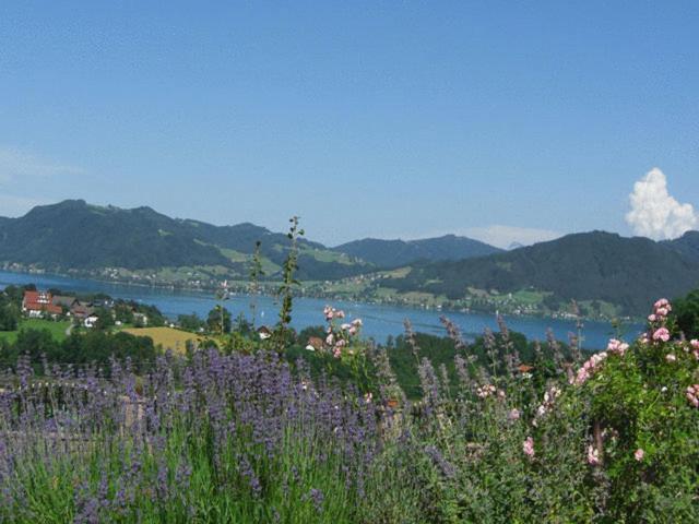 Pension Seeblick Attersee Exterior foto